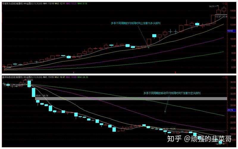 助侨生书写青年华章！市侨联“侨心工程”助学金颁发仪式举行