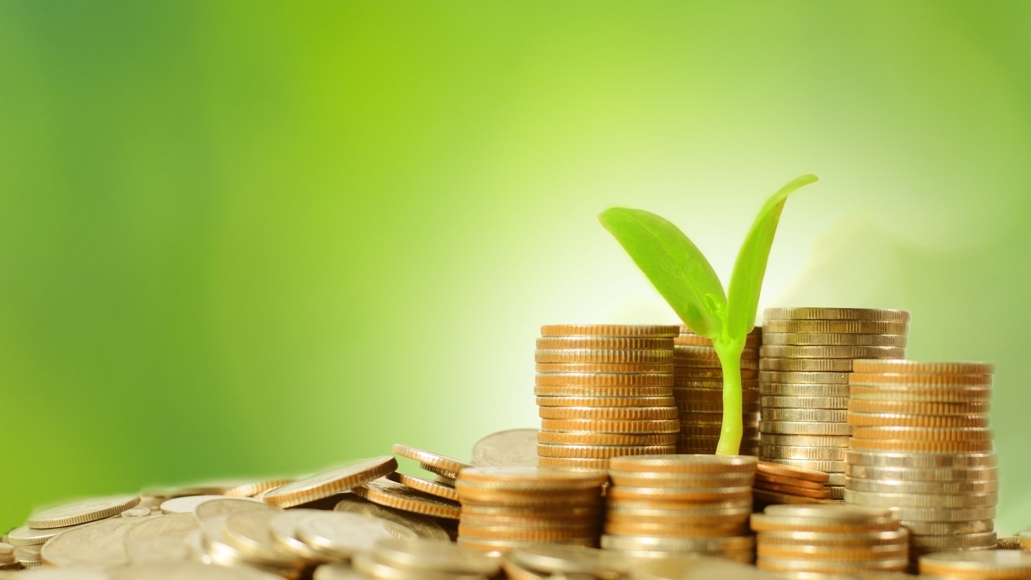 全国首家！北京一“个体网店”完成实体个体工商户变更登记