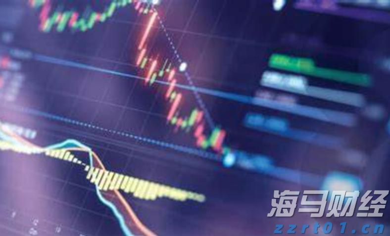 市领导到桂平市调研设施农业项目建设等工作