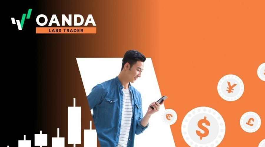 关于“十五五”规划，你有什么好点子？